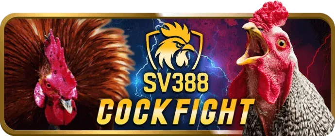 Sòng Bạc Trực Tiếp Xibet Login